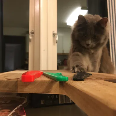 Dao Cắm Trại (Picnic Knife)