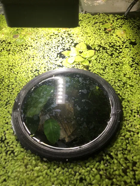 Phao Cá Đơn Giản - Image 2