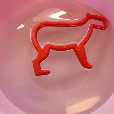 Cổng cá hình Capybara