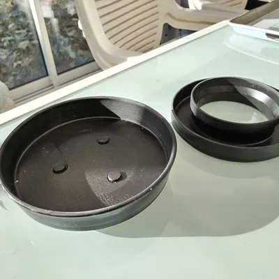 Tô Cho Mèo Chống Kiến