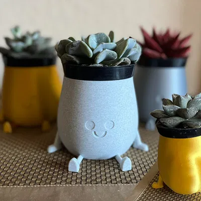 Chậu cây mập mạp ngồi vui vẻ