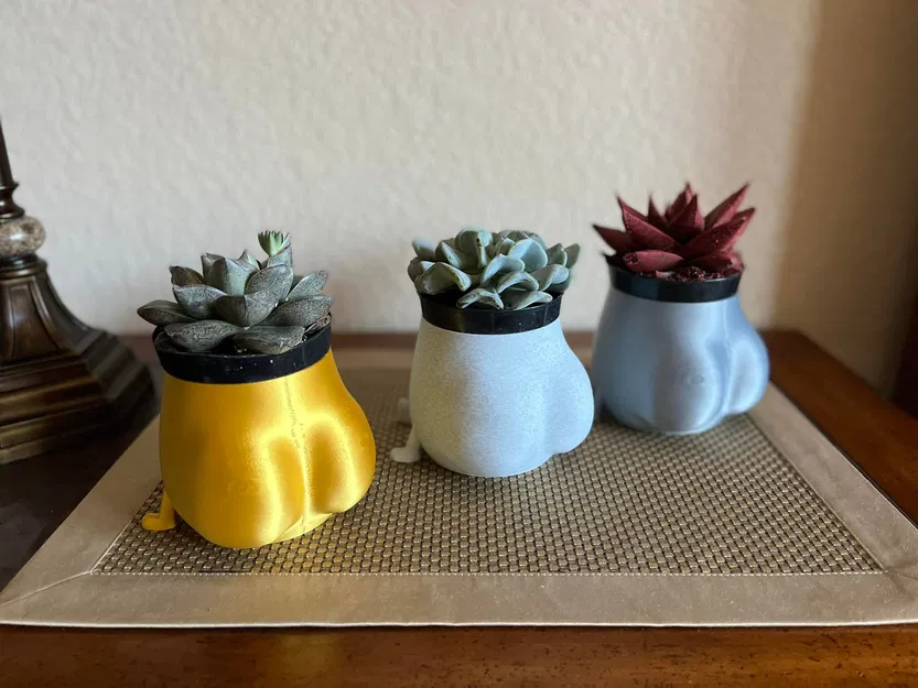 Chậu cây mập mạp ngồi vui vẻ - Image 2