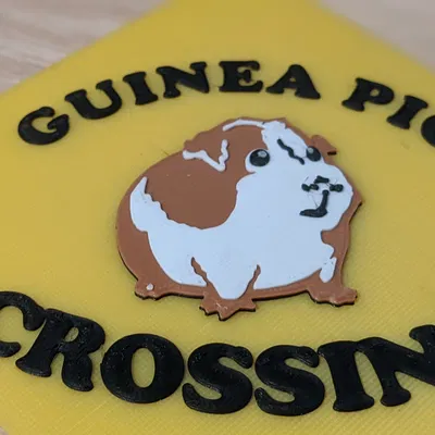 Biển Báo Lối Đi Qua Của Chuột Lang