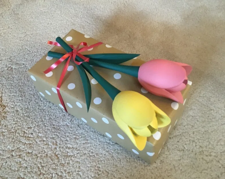 Hoa Tulip Có Cành - Image 1