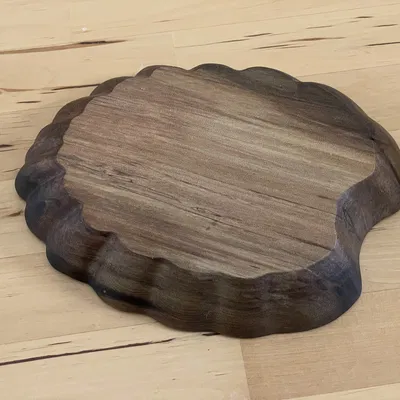 Tôservings hình lá Nothofagus gunnii (Sồi rụng lá)