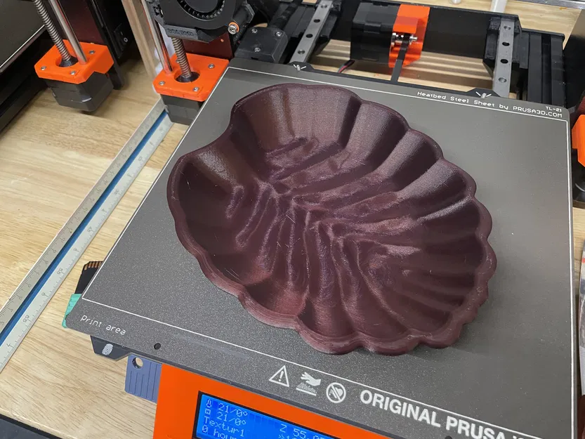 Tôservings hình lá Nothofagus gunnii (Sồi rụng lá) - Image 5