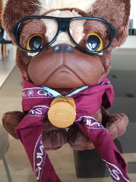 Woggle Khăn Quàng Cổ Our Chalet Wagggs - Image 2