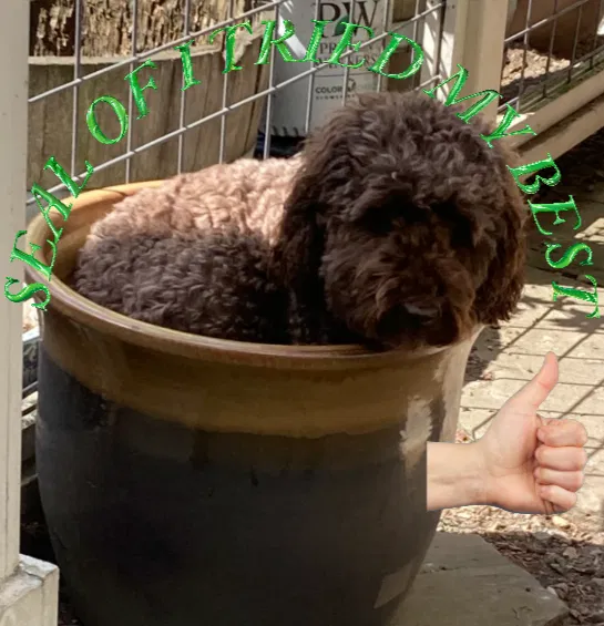 Chân đế ly nước cao - Image 2