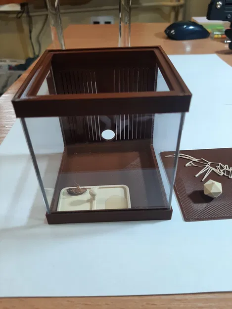 Sân chơi Formikarium cho kiến - Image 1