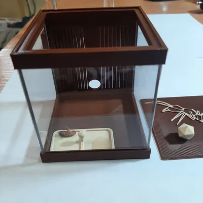 Sân chơi Formikarium cho kiến