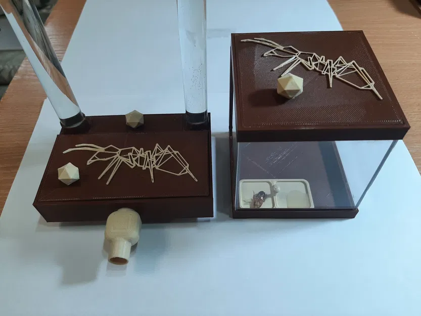 Sân chơi Formikarium cho kiến - Image 2