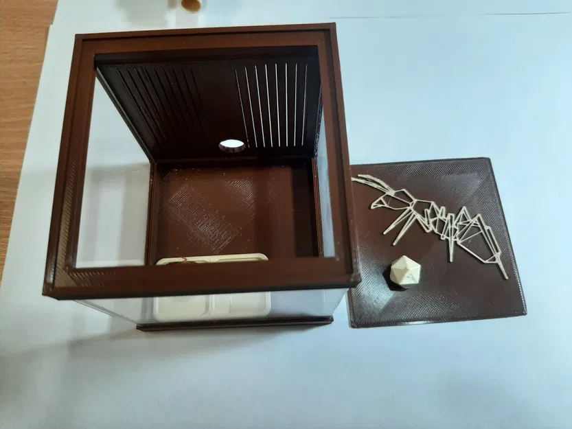 Sân chơi Formikarium cho kiến - Image 3