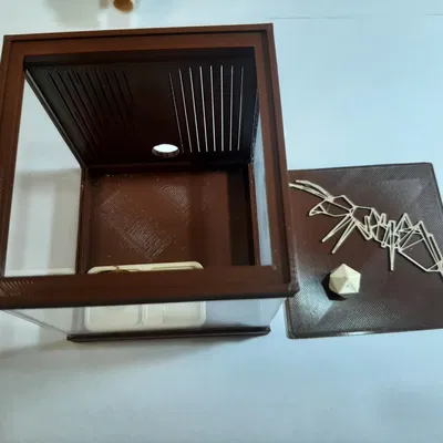 Sân chơi Formikarium cho kiến