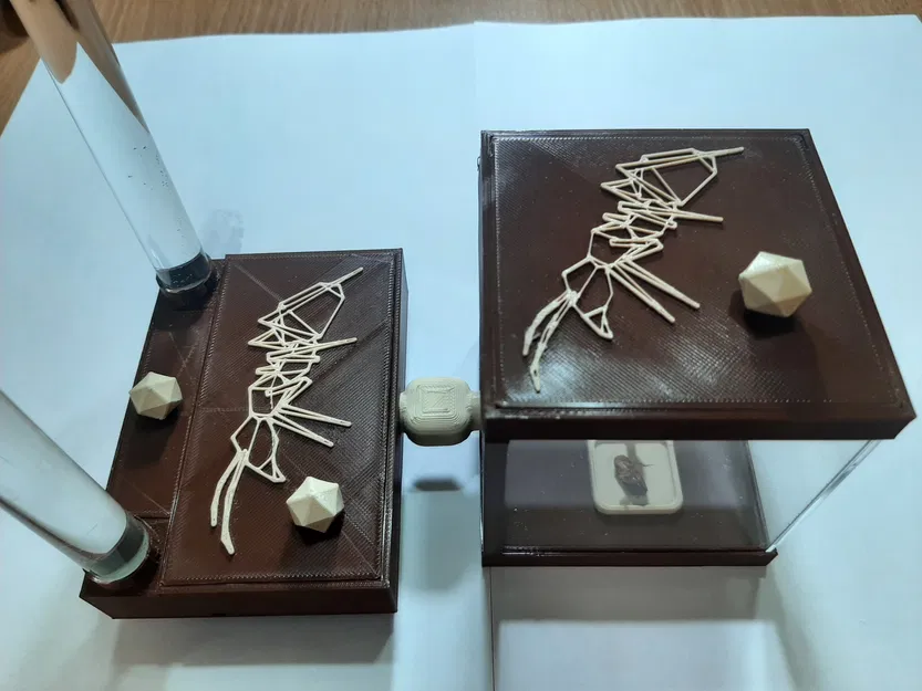 Sân chơi Formikarium cho kiến - Image 4