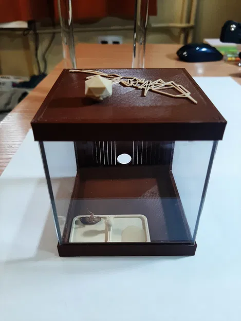 Sân chơi Formikarium cho kiến - Image 5