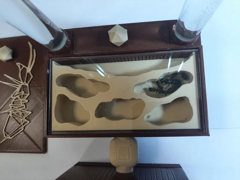 Tổ Kiến Formikarium Tự Tưới Nước - Image 4