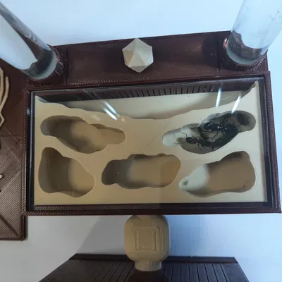 Tổ Kiến Formikarium Tự Tưới Nước