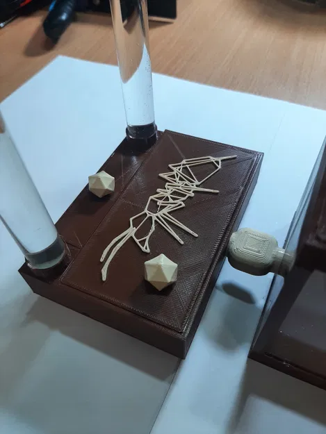 Tổ Kiến Formikarium Tự Tưới Nước - Image 5