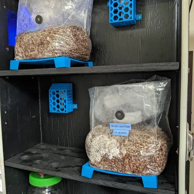 Chụp Cảm Biến Tiêm Chủng