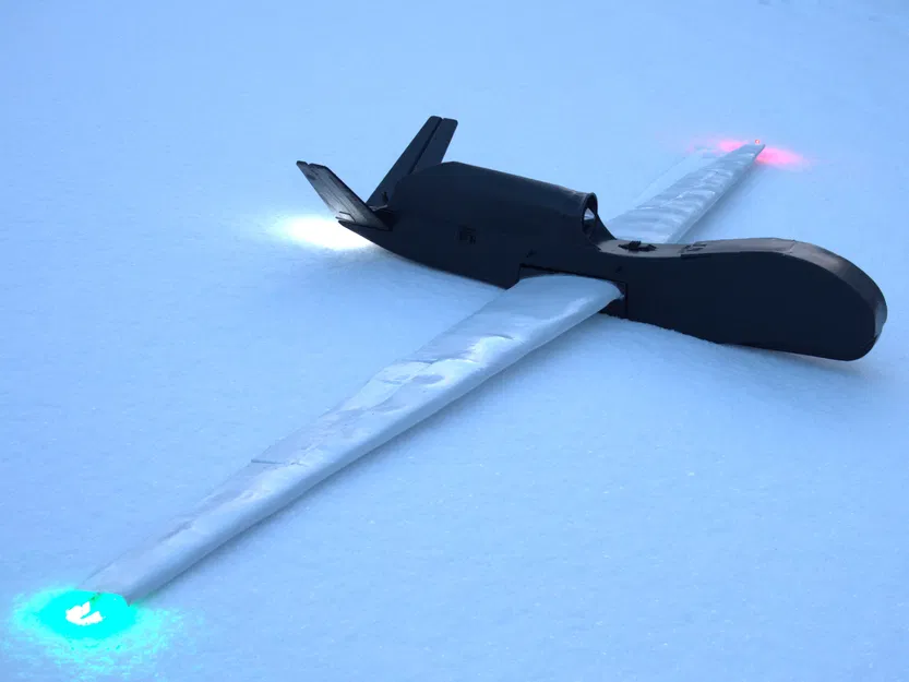 Mô hình RC RQ-4B Global Hawk - Image 2