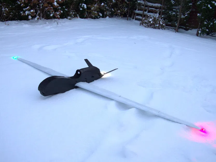 Mô hình RC RQ-4B Global Hawk - Image 3