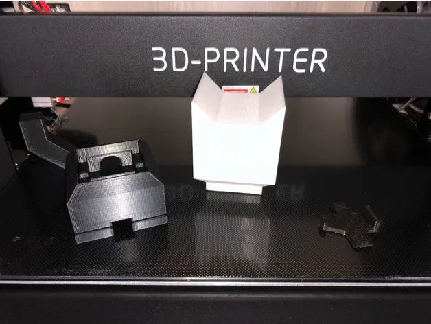 Mèo Chiếu Sáng - Illumination Cat - Image 3