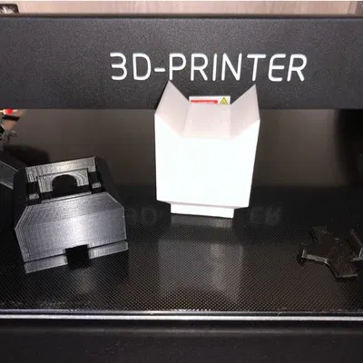 Mèo Chiếu Sáng - Illumination Cat