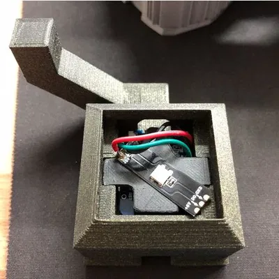 Mèo Chiếu Sáng - Illumination Cat