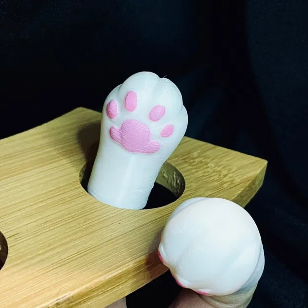 Chân Mèo Ngón Tay Kiểu "Chào!" - Image 4