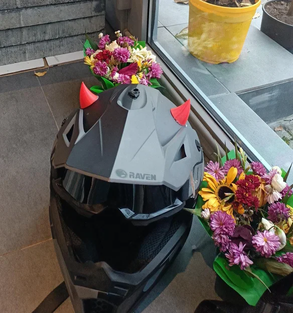 Cái Sừng Mũ Bảo Hiểm Đơn Giản - Image 1