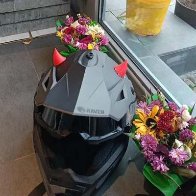 Cái Sừng Mũ Bảo Hiểm Đơn Giản