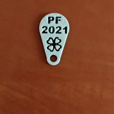 Móc Khóa Đồng Xu Xe Đẩy Hàng PF 2021