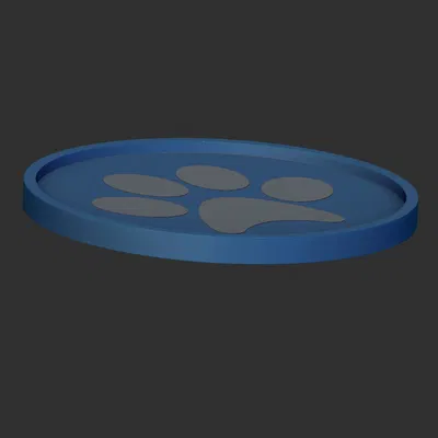 Đế lót ly hình bàn chân kèm hộp đựng