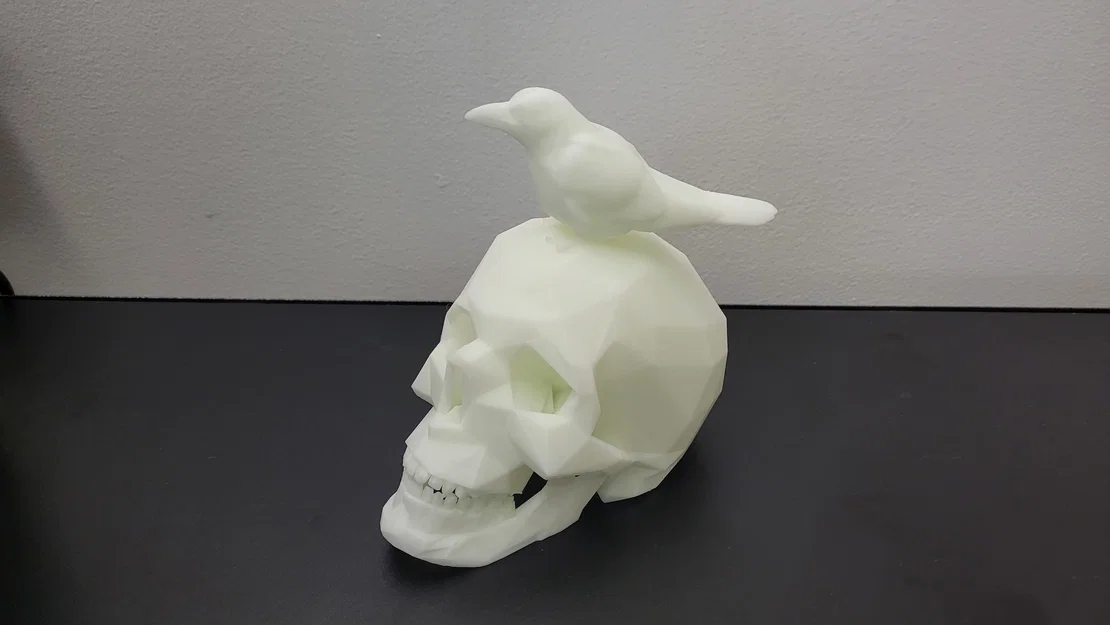 Đầu Lâu Quạ Phong Cách LowPoly - Image 3