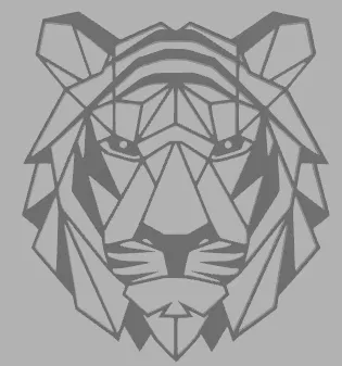 Hình bóng hổ - Image 2