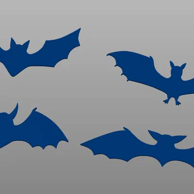 Dơi 2D - 1