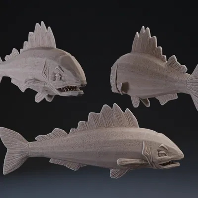 Cá Walleye Hoạt Hình