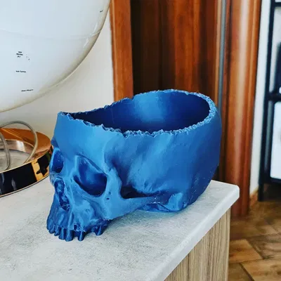 Vaso Teschio Skull Planter 3D Model