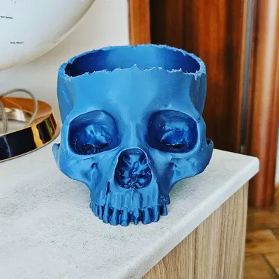 Vaso Teschio Skull Planter 3D Model