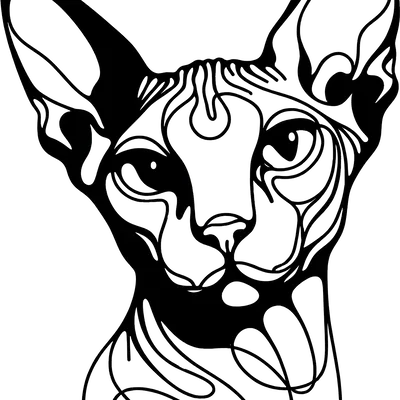 Tranh treo tường mèo Sphynx