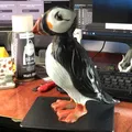 Mô hình Chim Puffin Nhỏ Xinh - Thumbnail 1