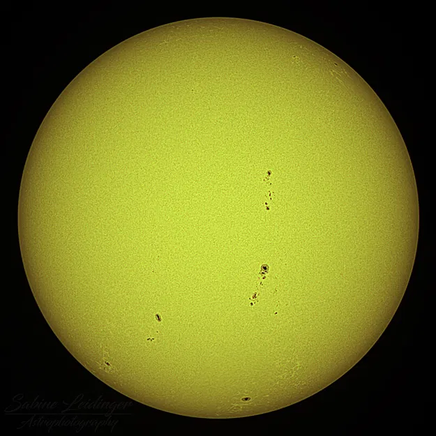 Giá đỡ lá chắn nắng cho Redcat51 có nắp bảo vệ - Image 2