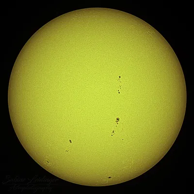 Giá đỡ lá chắn nắng cho Redcat51 có nắp bảo vệ