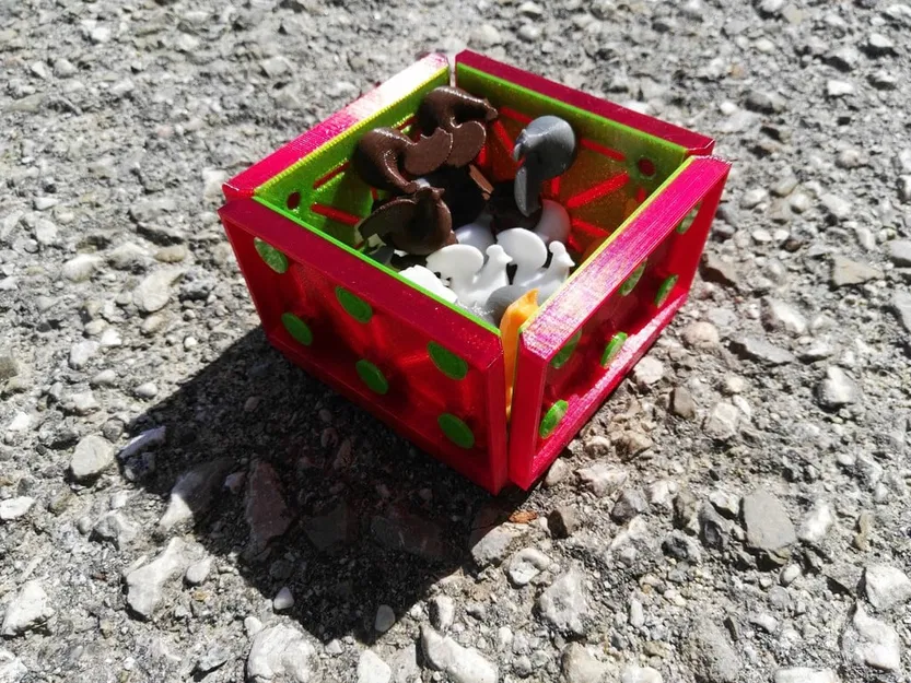 Trò chơi Cáo & Gà (hoặc Cáo & Ngỗng) - Image 2