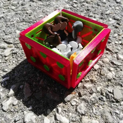 Trò chơi Cáo & Gà (hoặc Cáo & Ngỗng)