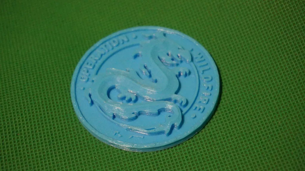 Đồng Xu Wildfire CS:GO - Image 3