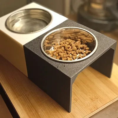 Đế Nâng Tô Cho Mèo