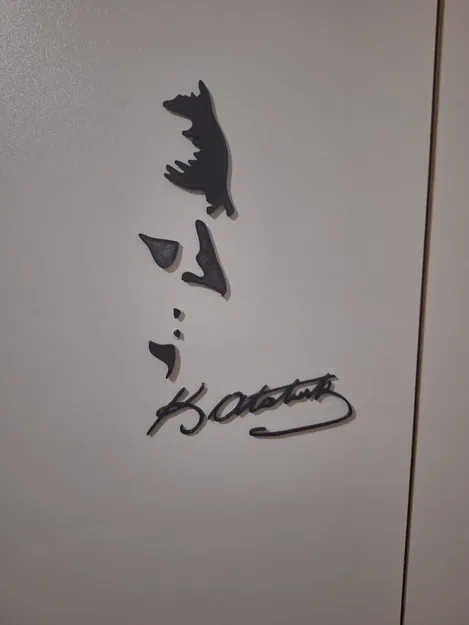 Hình bóng có chữ ký của Bác - Image 1