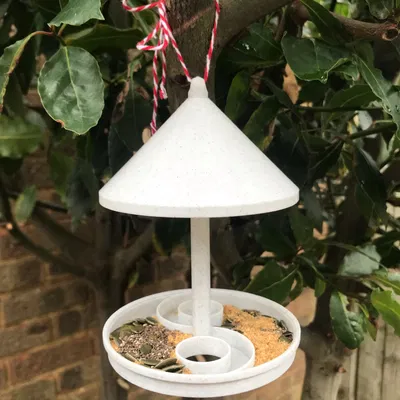 Máng Ăn Chim Đơn Giản