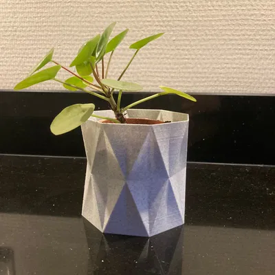 Chậu cây hình học